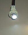 T-10 Bright White Light with 8 1210 SMD LEDs sku329 - Click Image to Close
